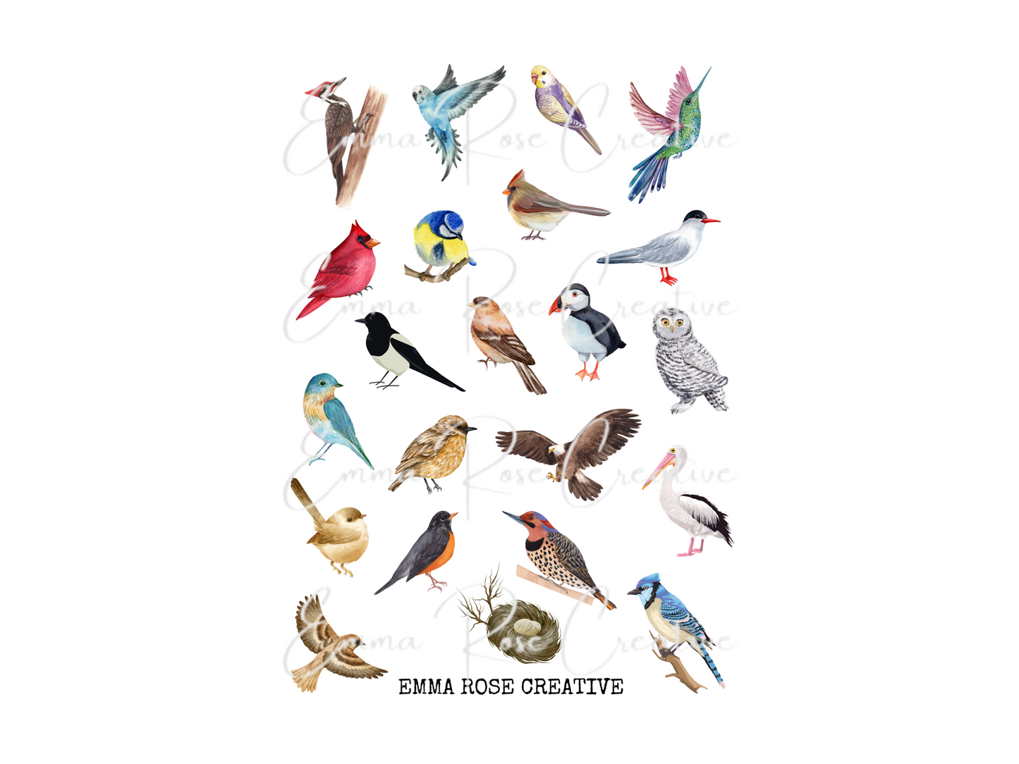 Birds - Variety, Sheet Stickers