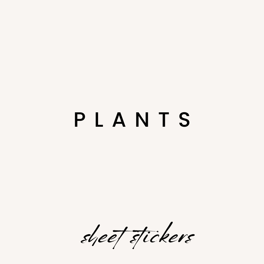 Plants, Cactus, & Succulents