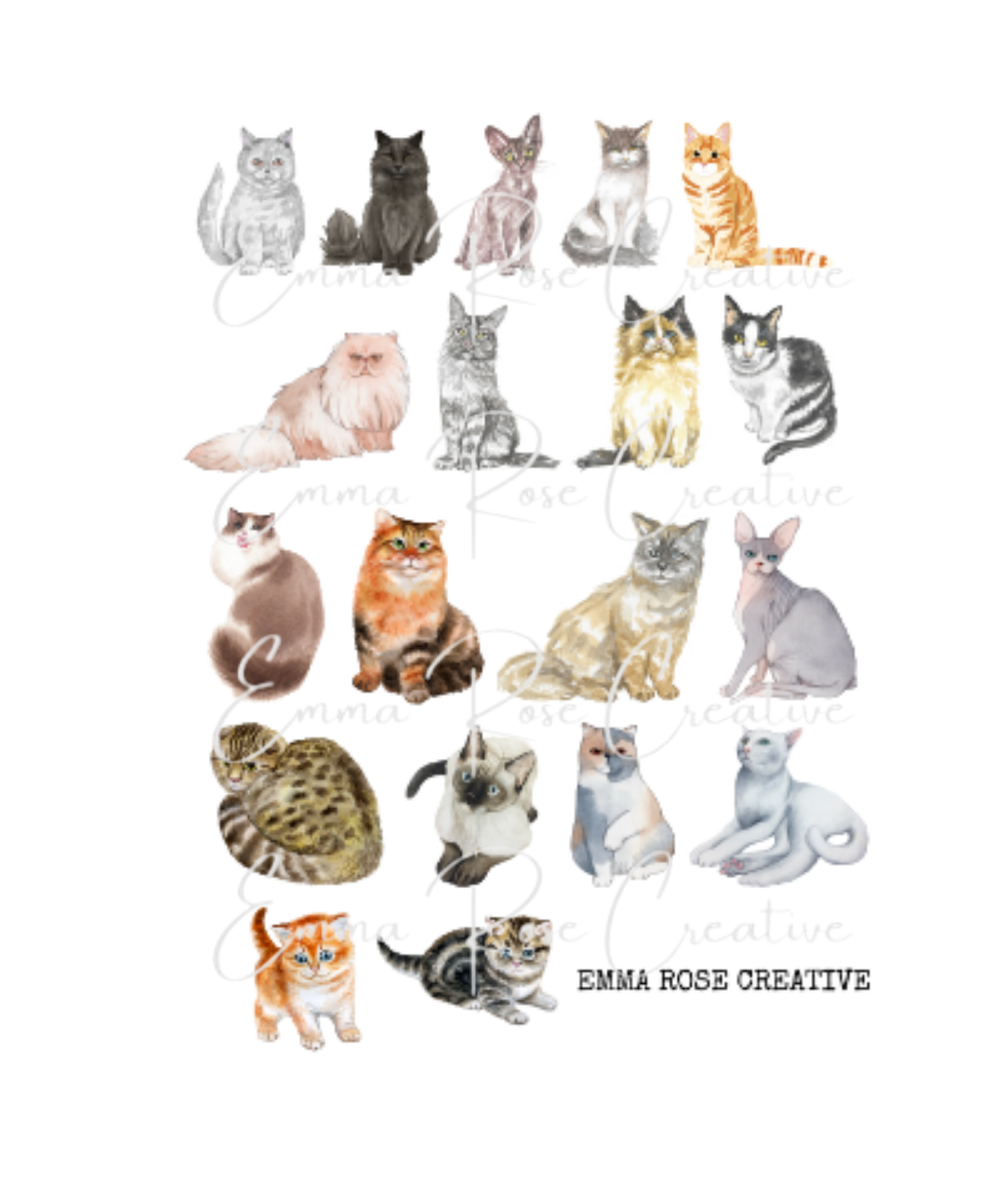 Cats - Breeds, Sheet Stickers