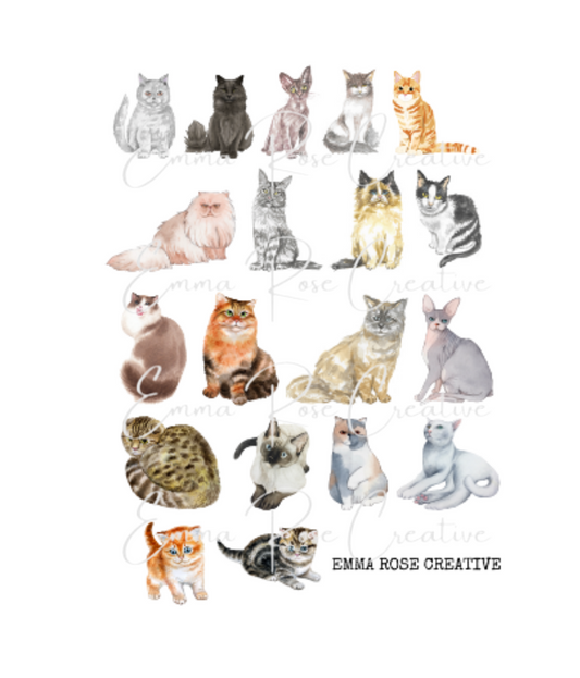 Cats - Breeds, Sheet Stickers