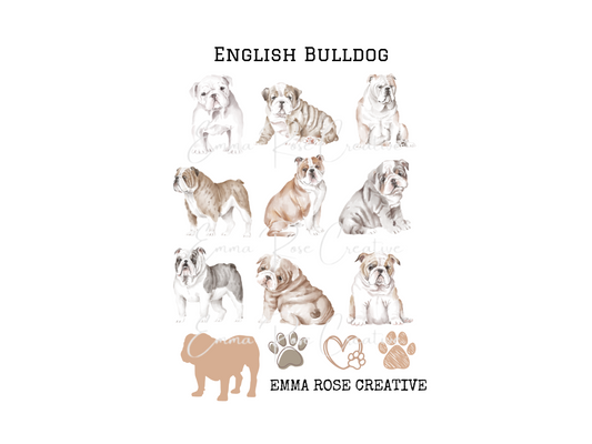 Dog - English Bulldog, Sheet Stickers